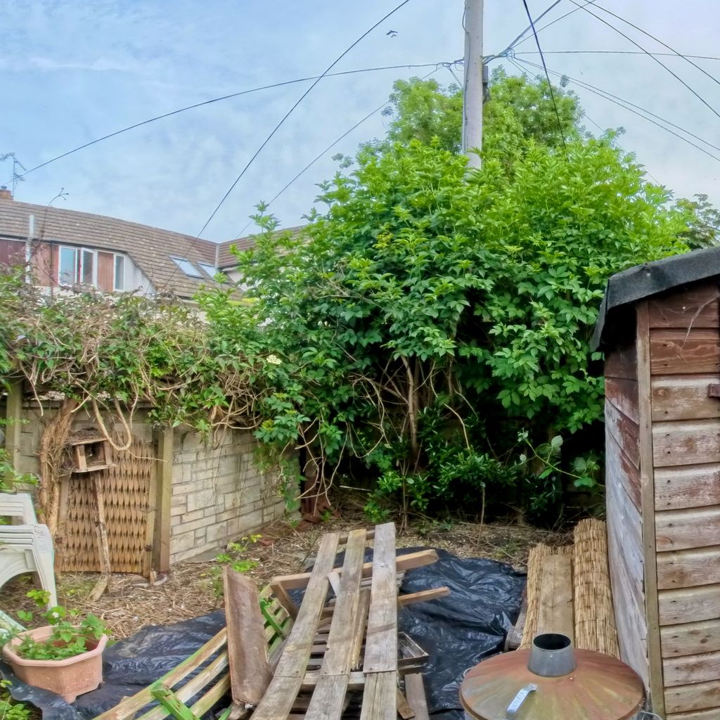 Shed
