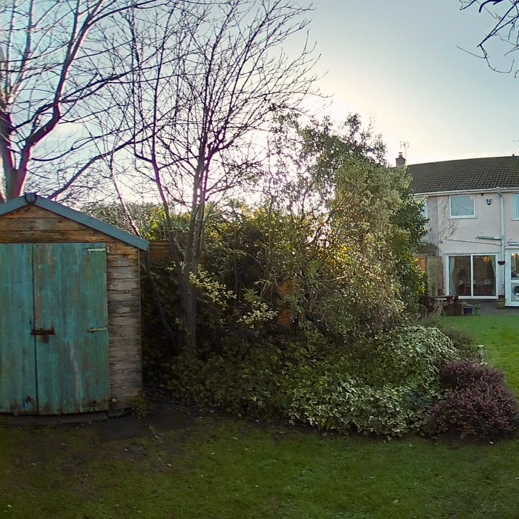 Rear Garden 2