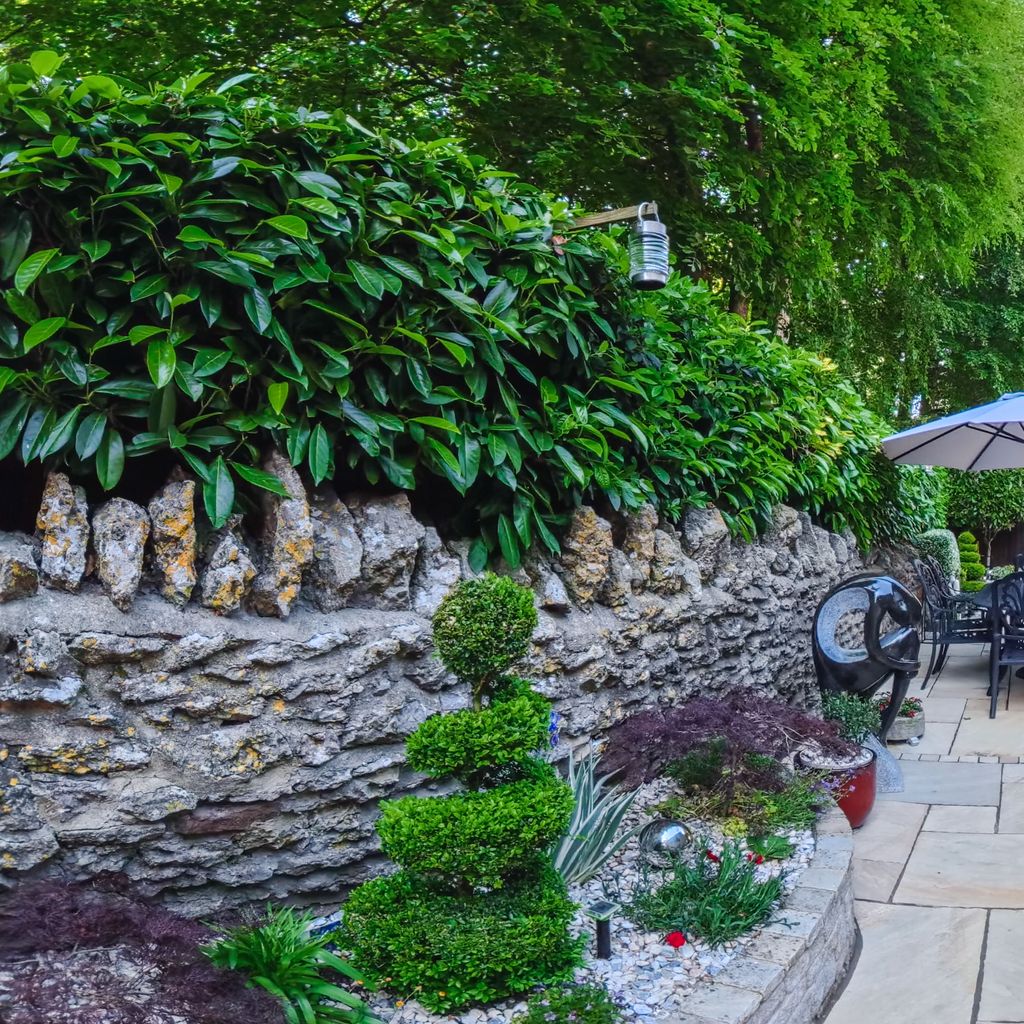 Rear garden 2