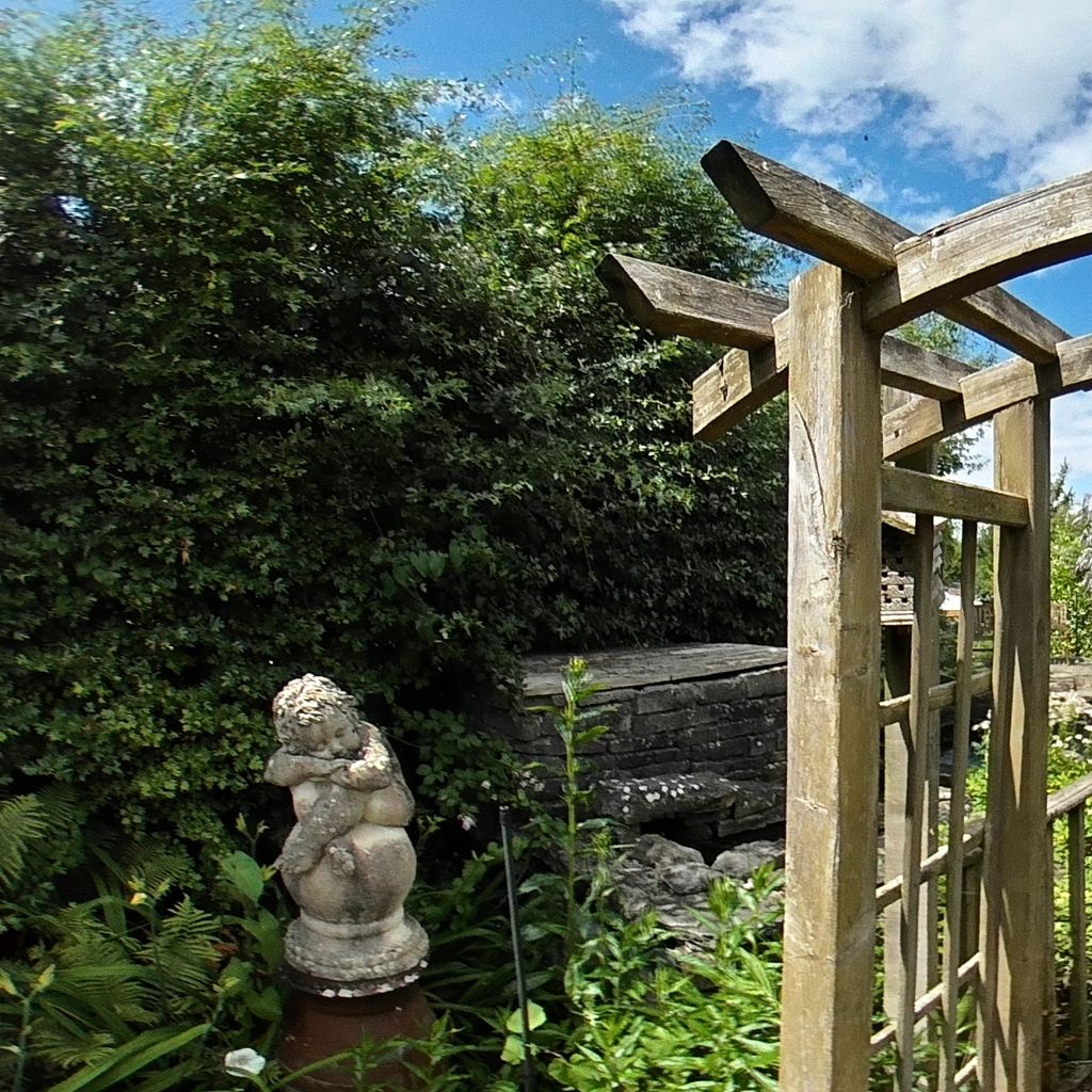 Garden 3