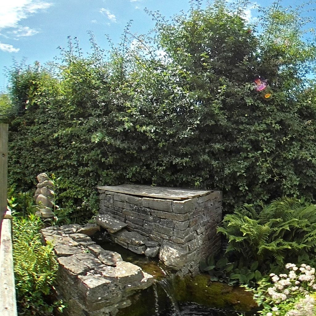 Garden 4