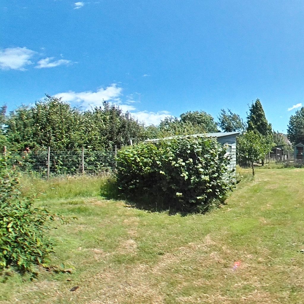 Garden 10