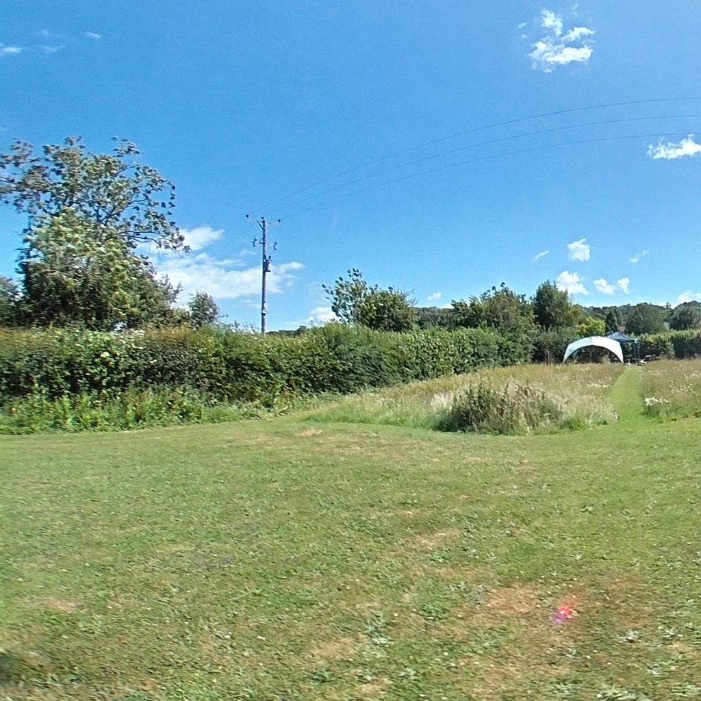 Garden 12