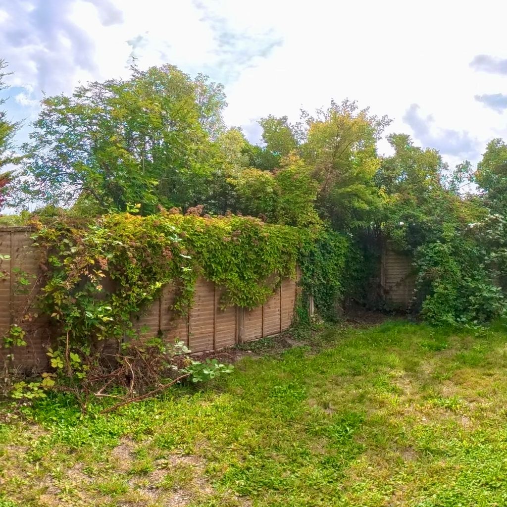 Garden 2