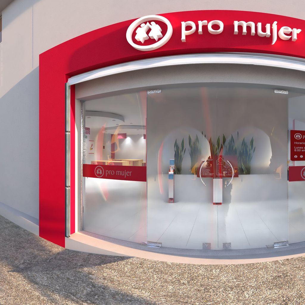 Pro Mujer (Acceso)