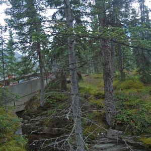 Athabasca Falls