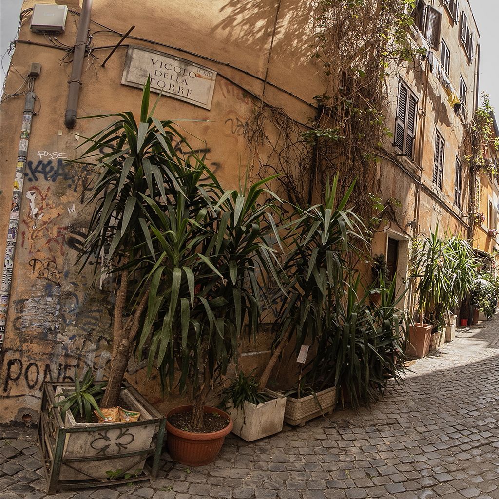 Ruelle de Rome
