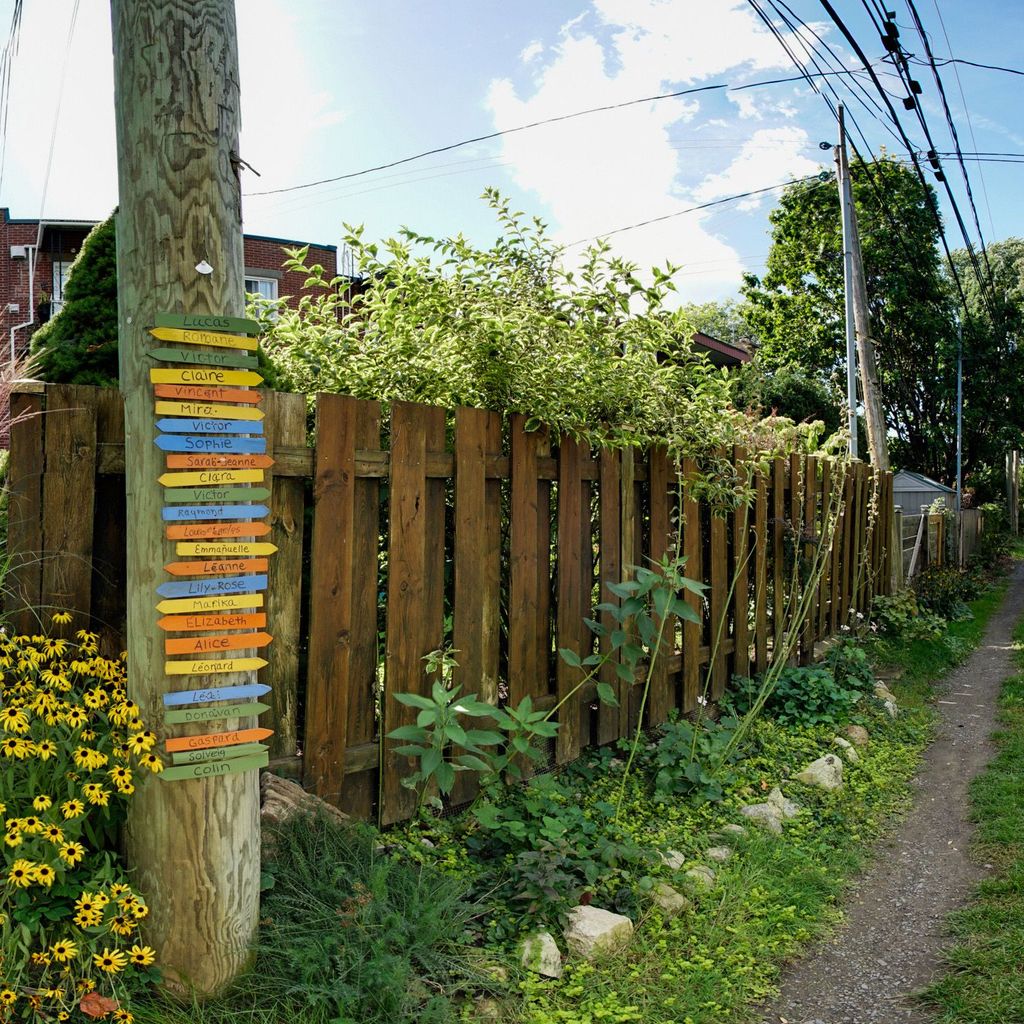 Photo 4