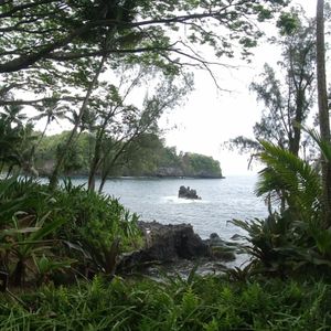Hawaii Tropical Botanical Garden, Hilo HI