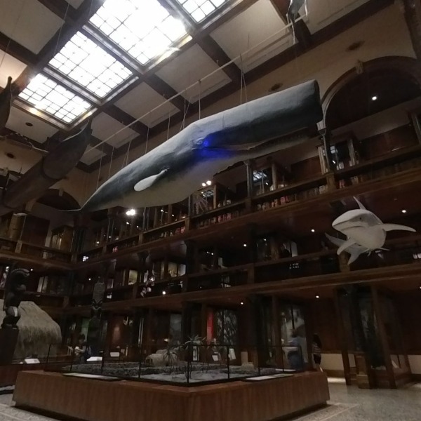 Bishop Museum, Honalulu HI 