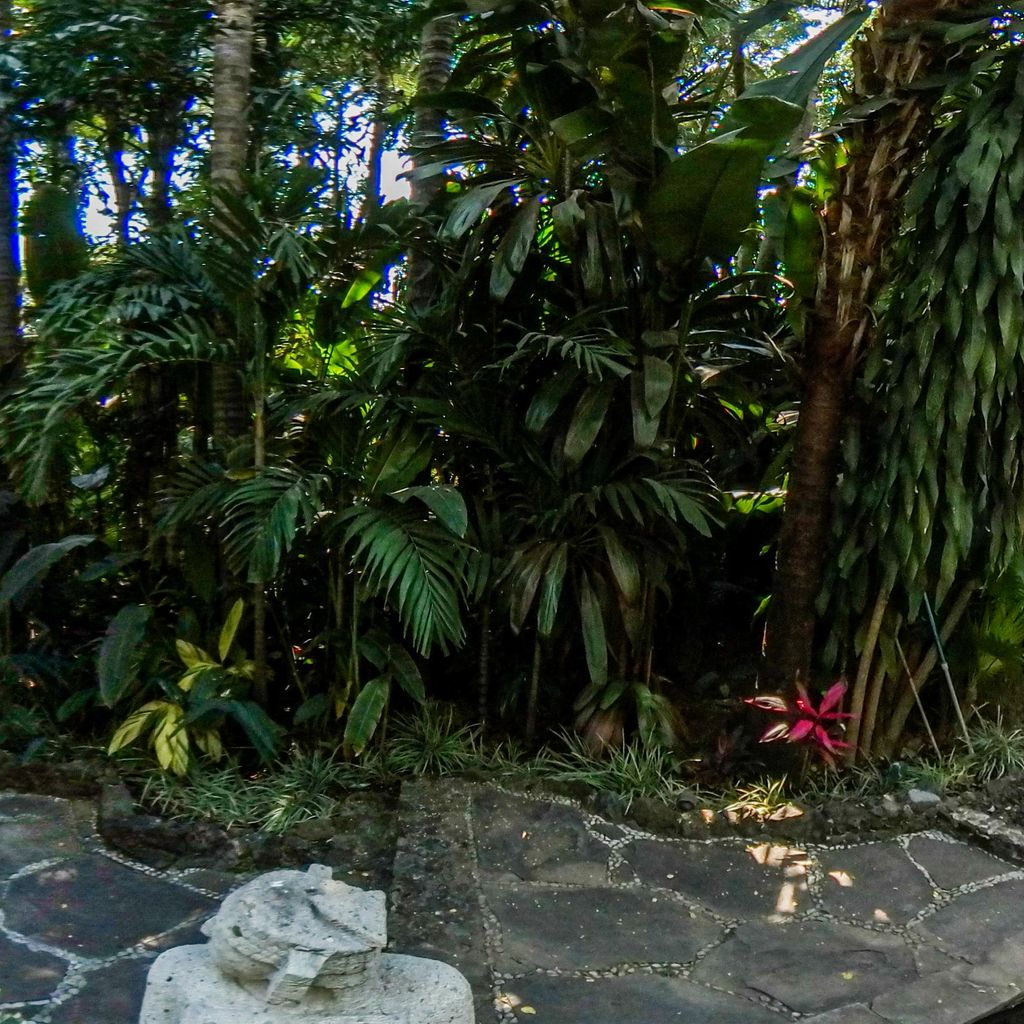 Pond 1
