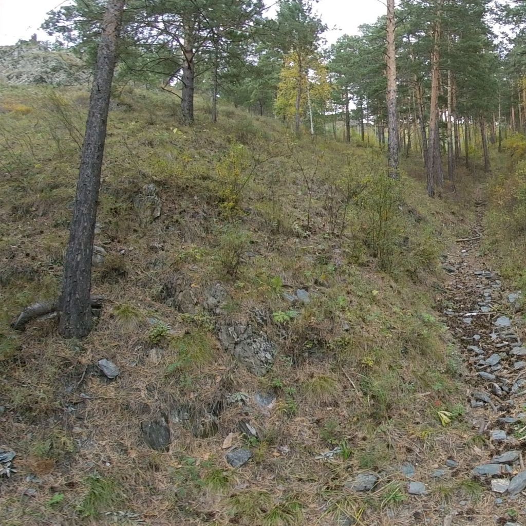 Altai 2020.09.22