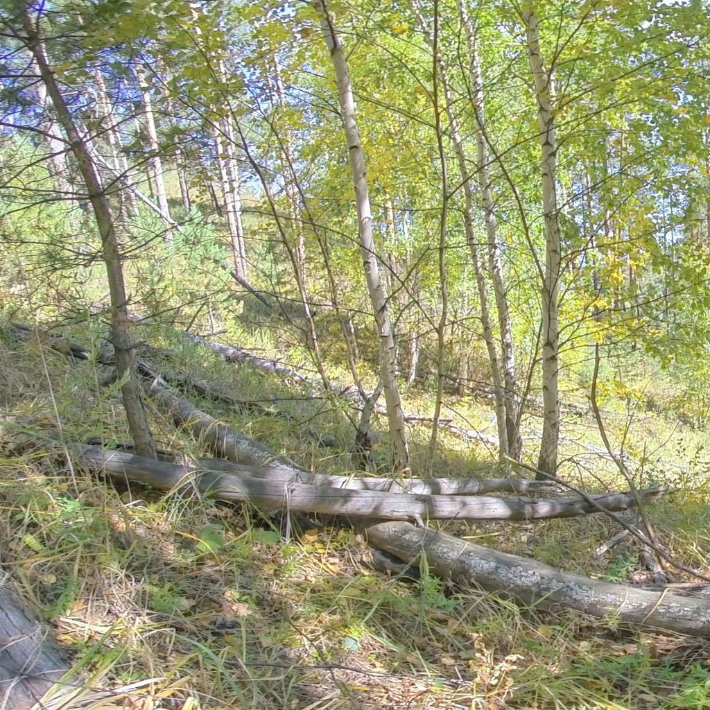 Altai 2020.09.15