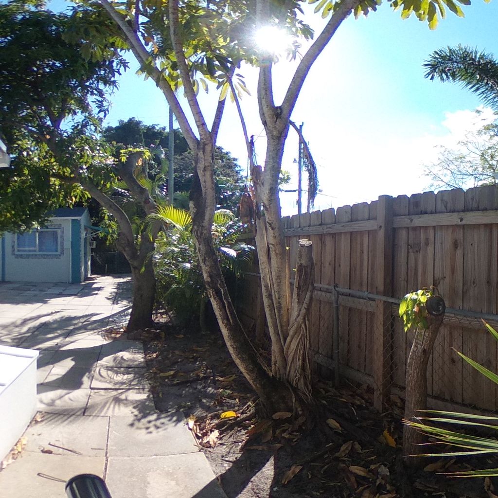 Side Yard
