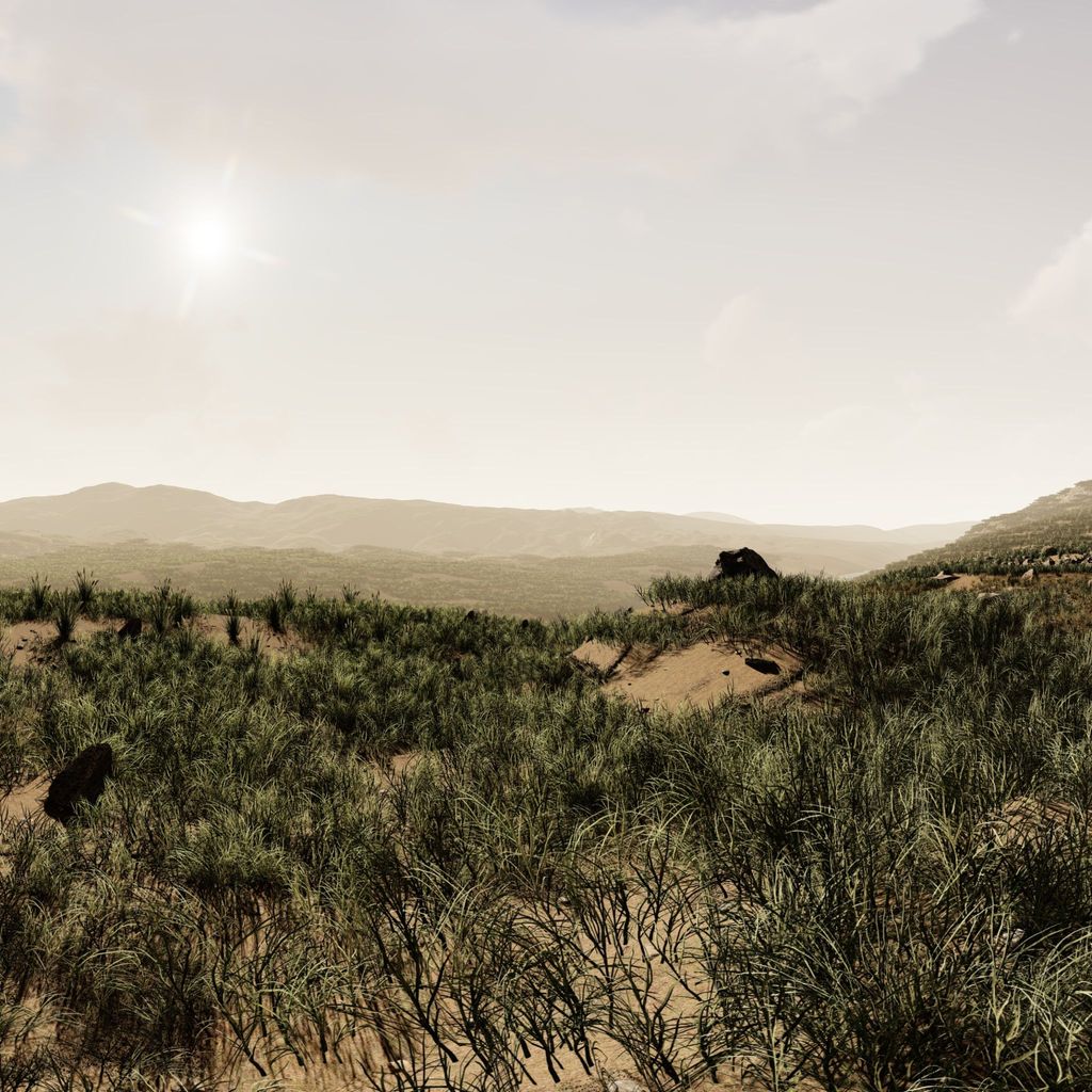 View 01