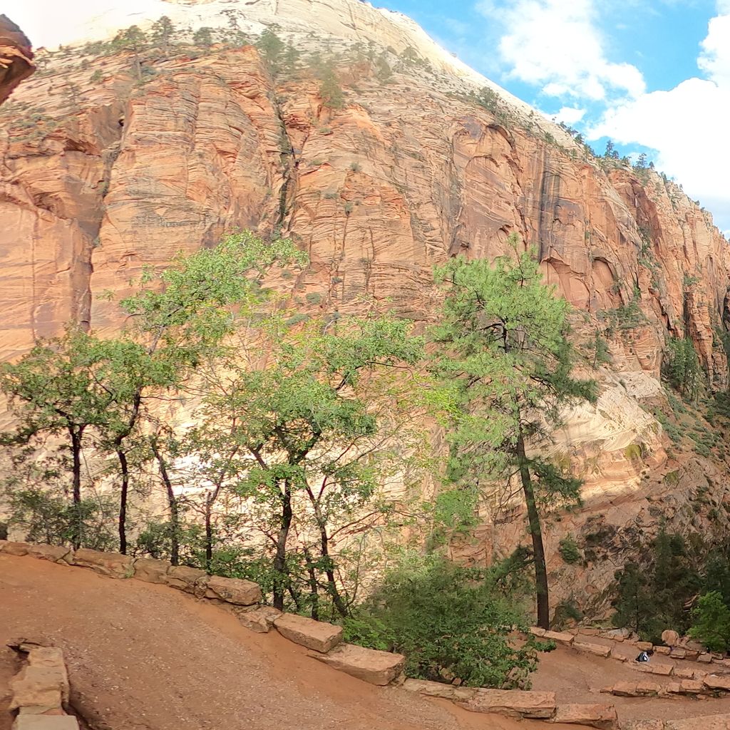 Angel's Landing 08