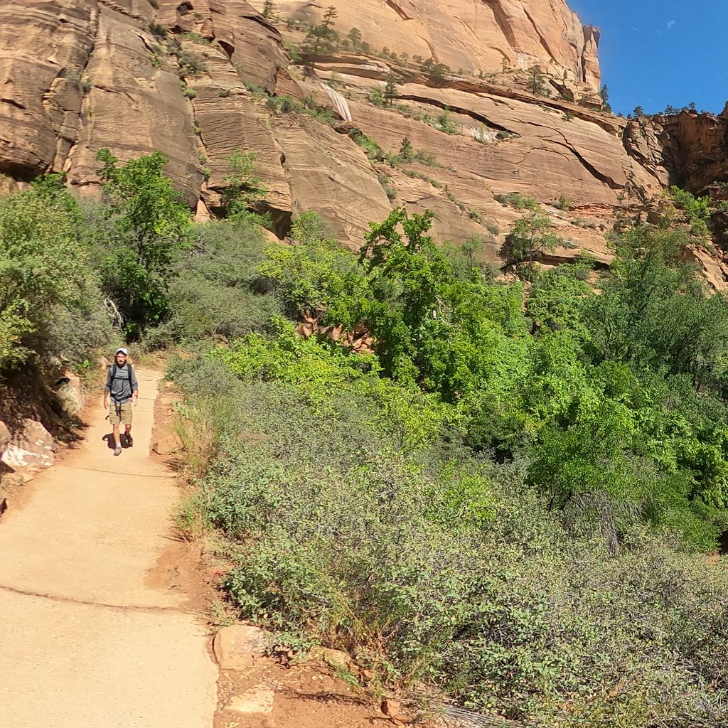 Angel's Landing 10