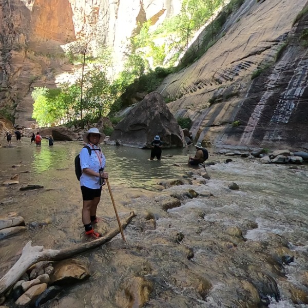 The Narrows 05