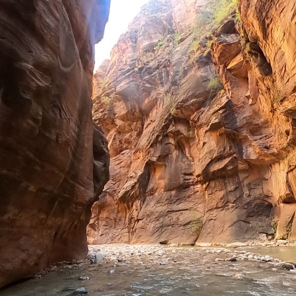 The Narrows 11