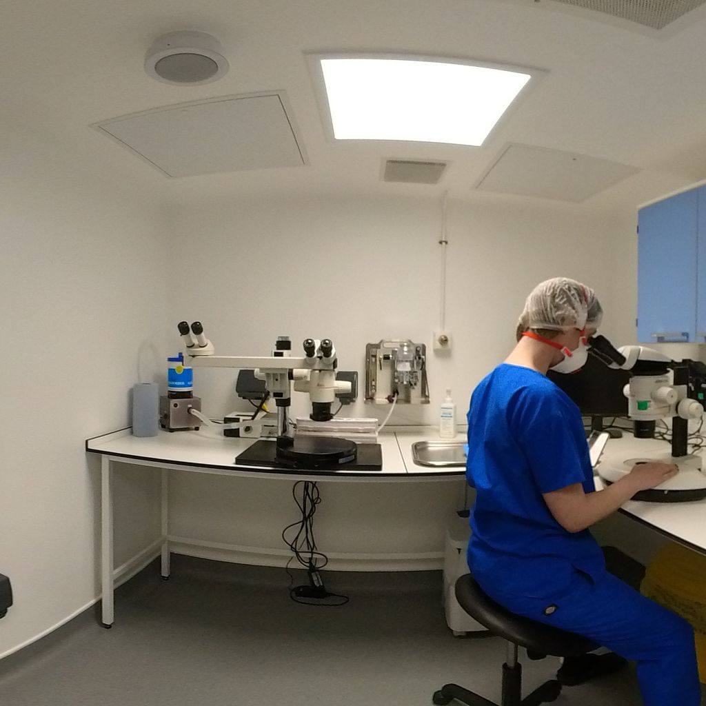 Surgical Suite