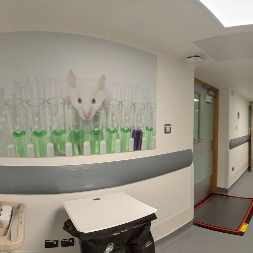Left Hand Corridor