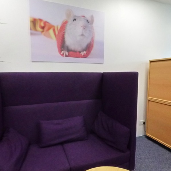 Office Space