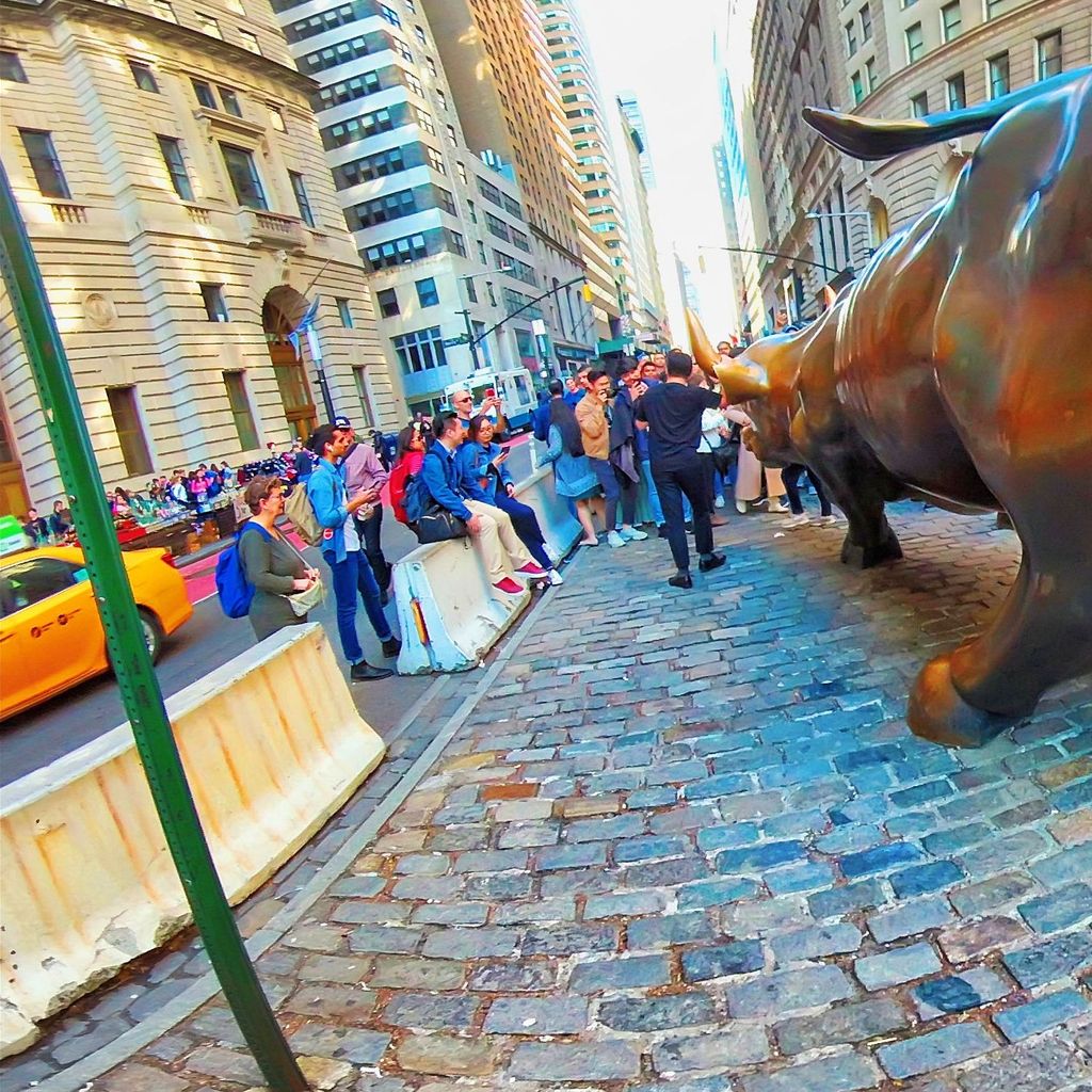 Wall St - Charging Bull 2