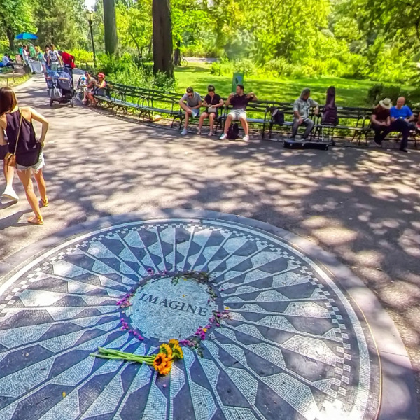 Strawberry Fields 360-3D
