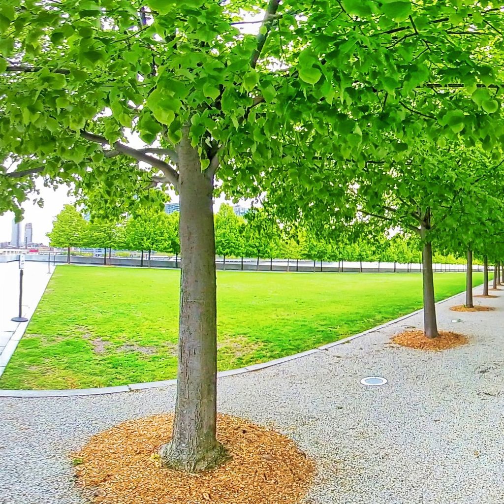 Roosevelt Island - Park