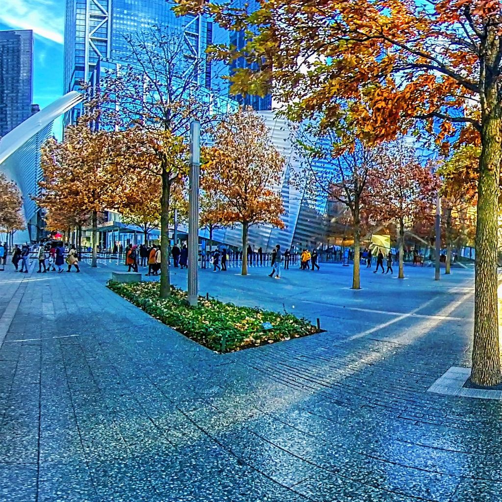 World Trade Center - Sunset