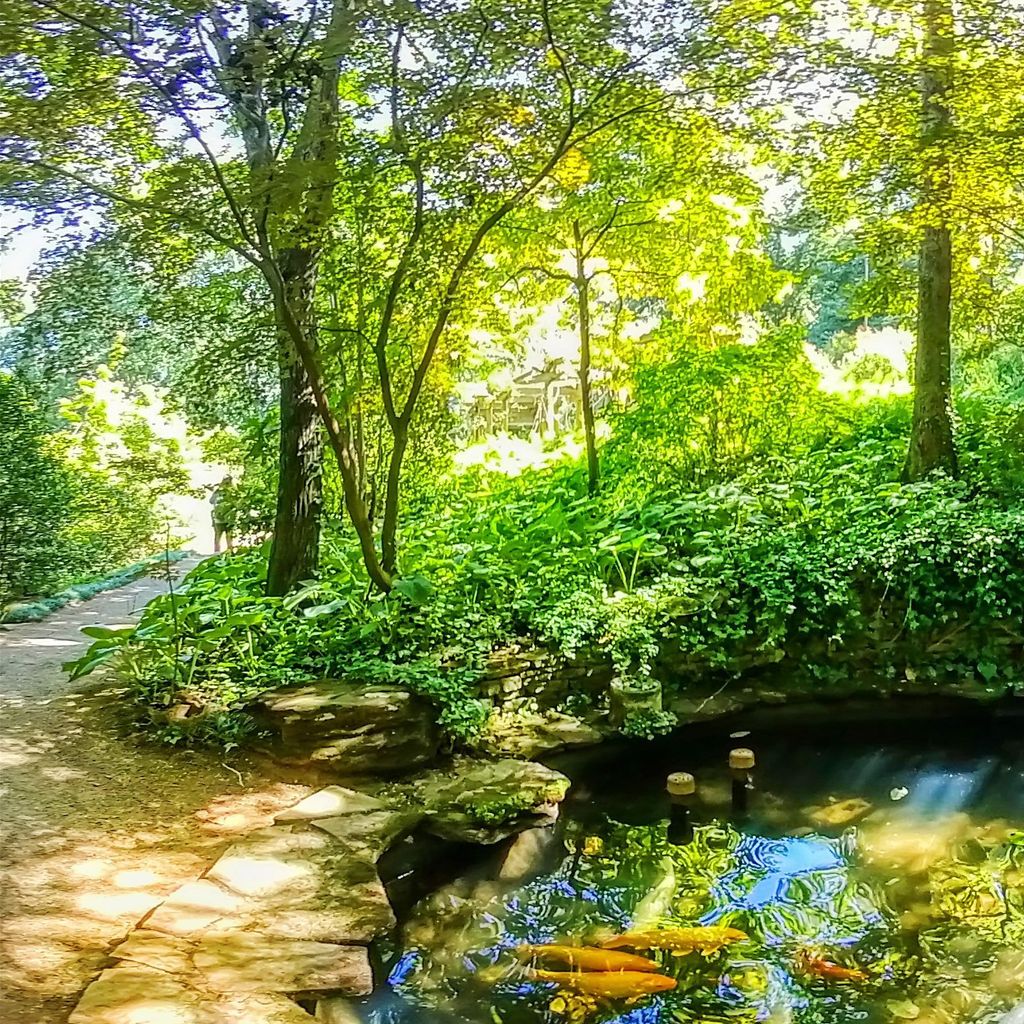 Fish Pool 2