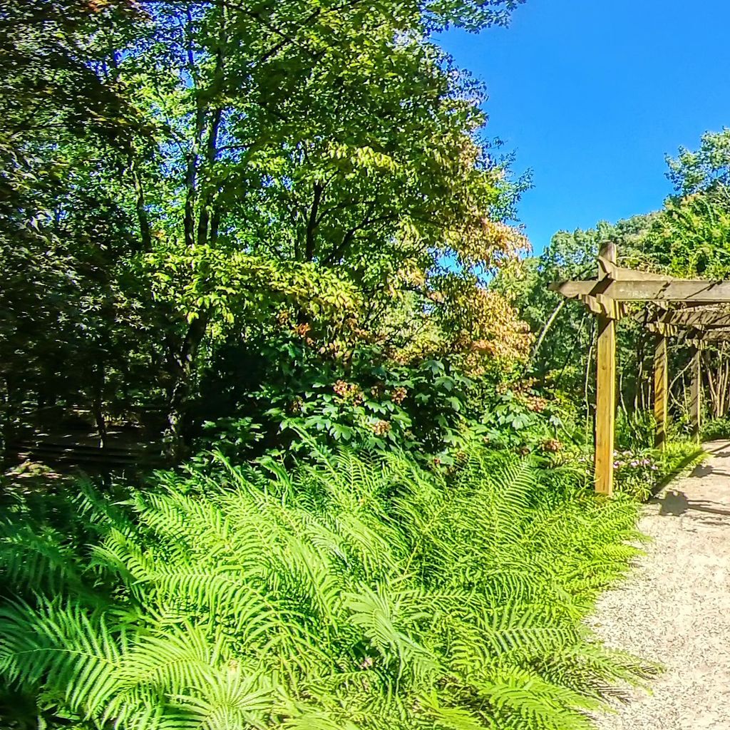 Manor Gardens - Exit