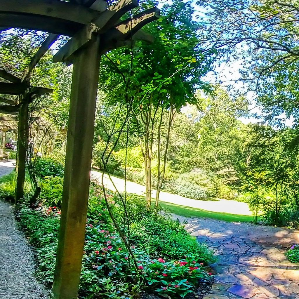 Rose Arbor 3