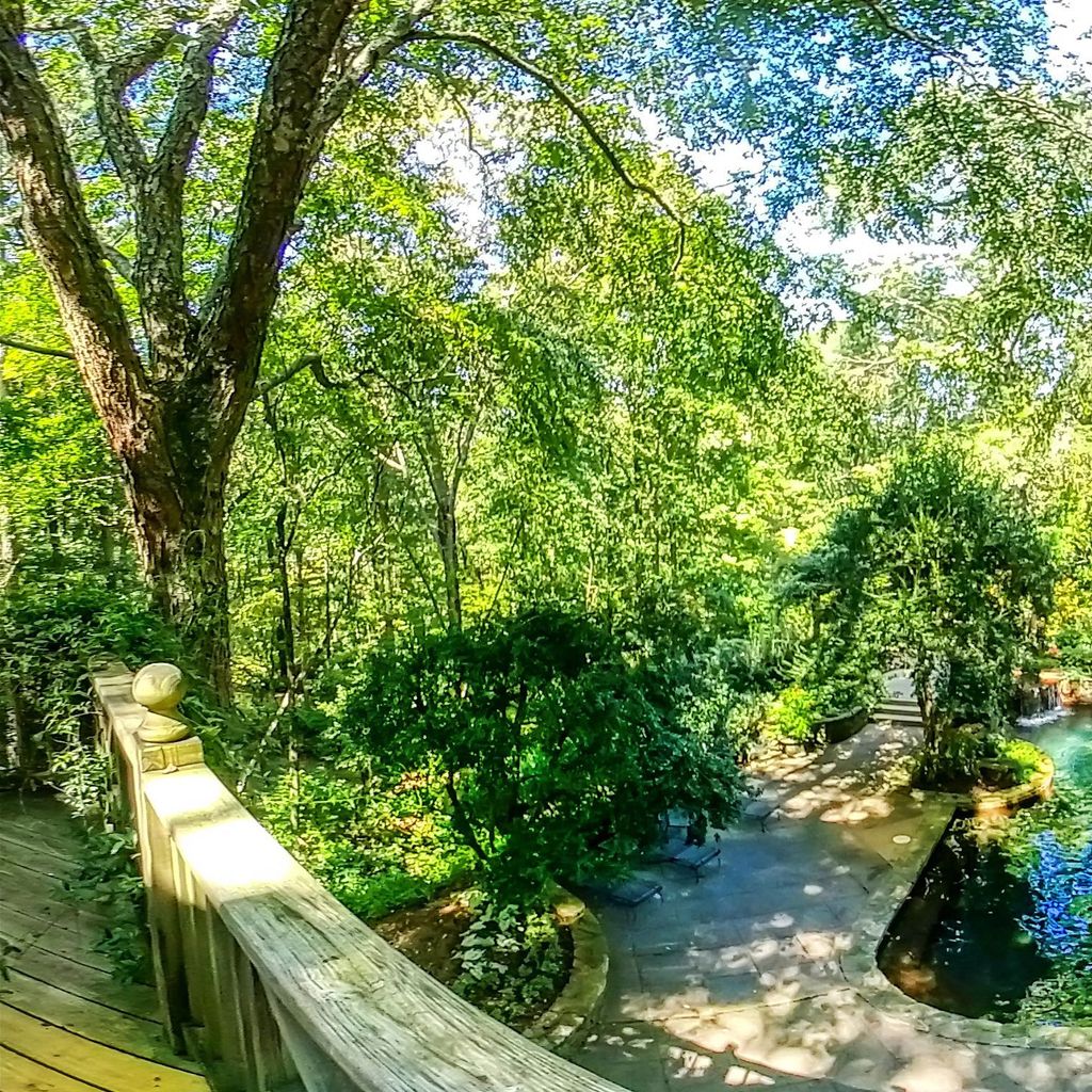 Cabana & Pool 4