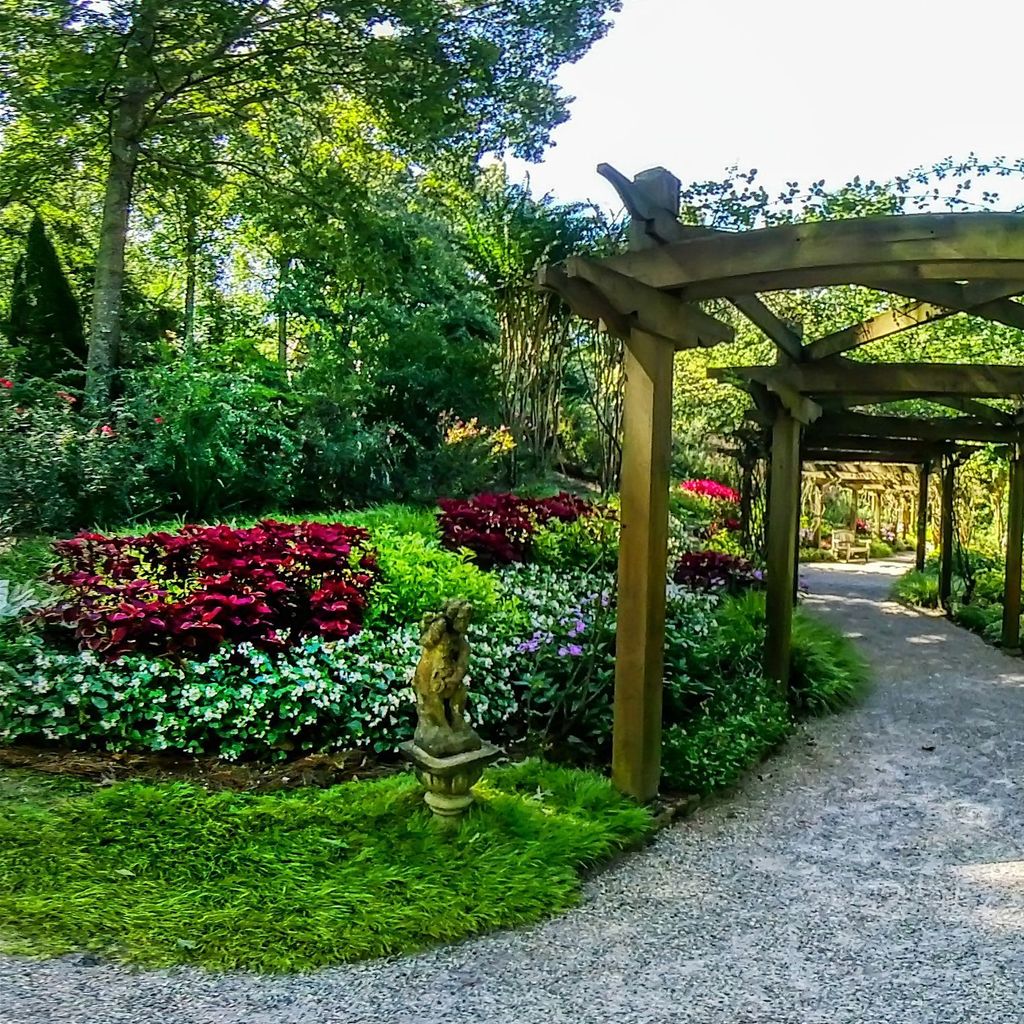 Rose Arbor 2