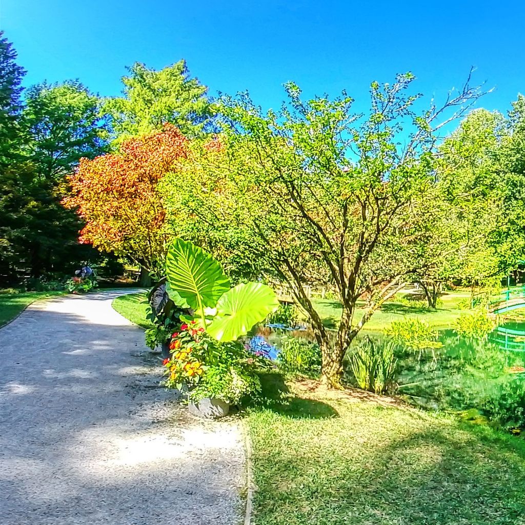 Monet Bridge - Across