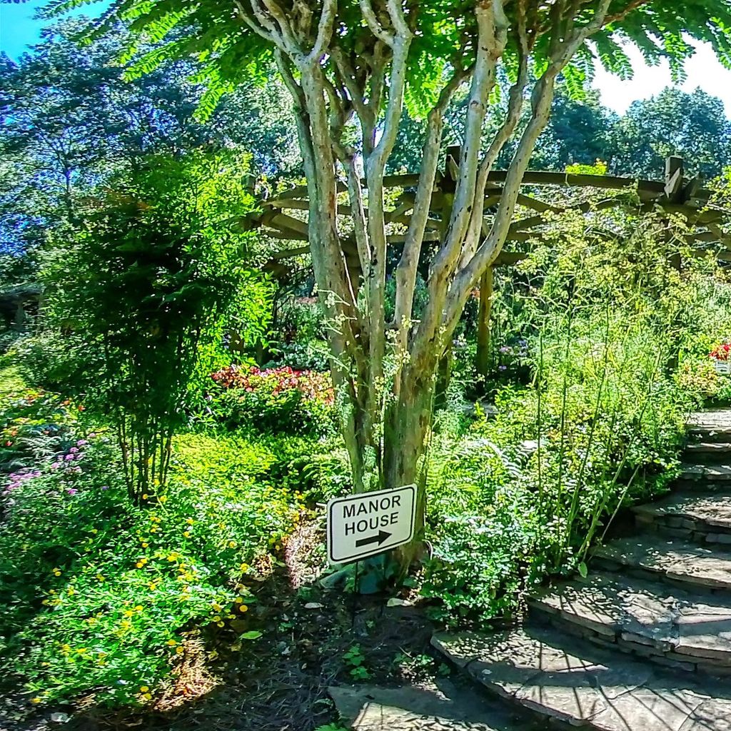 Rose Arbor 8