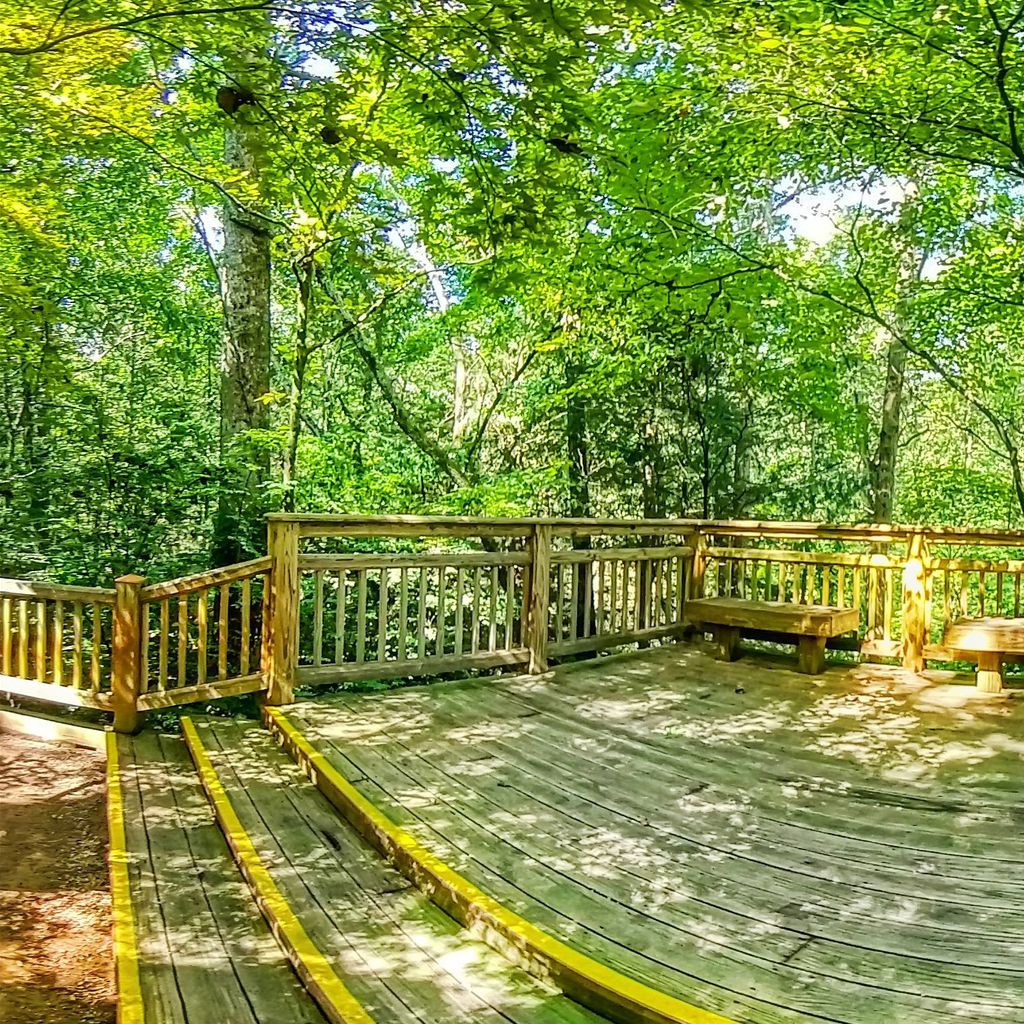 Fish Pool - Deck