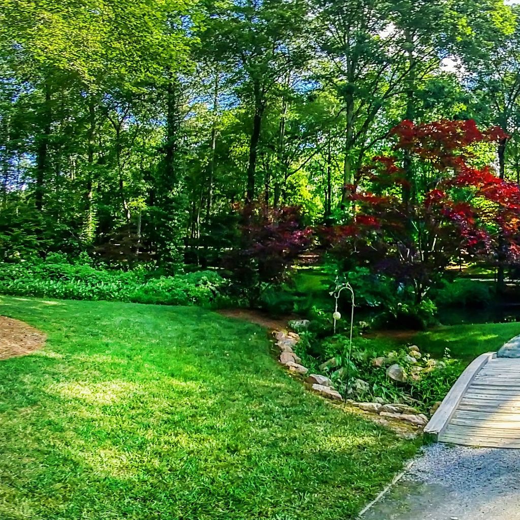 Waterlily Gardens 3