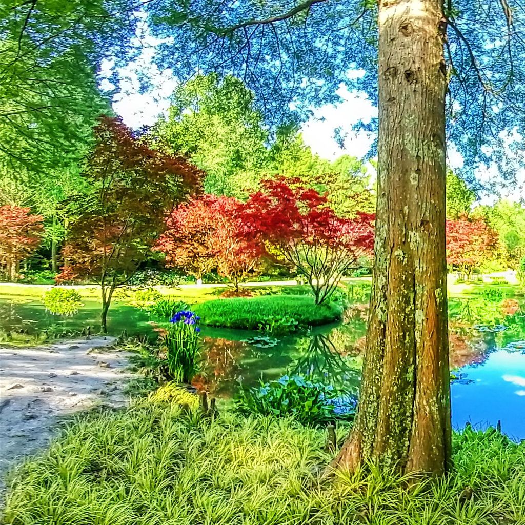 Monet Bridge 3