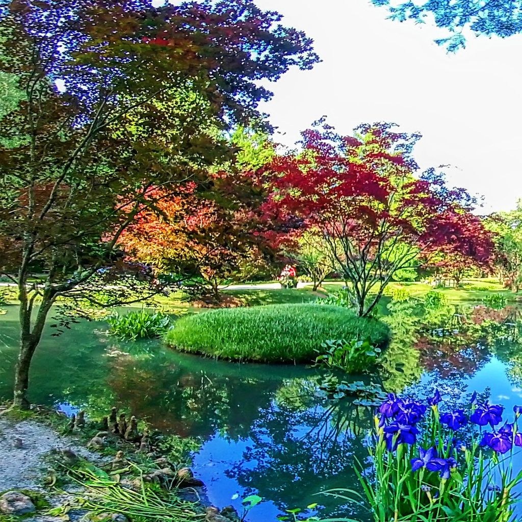 Monet Bridge 4