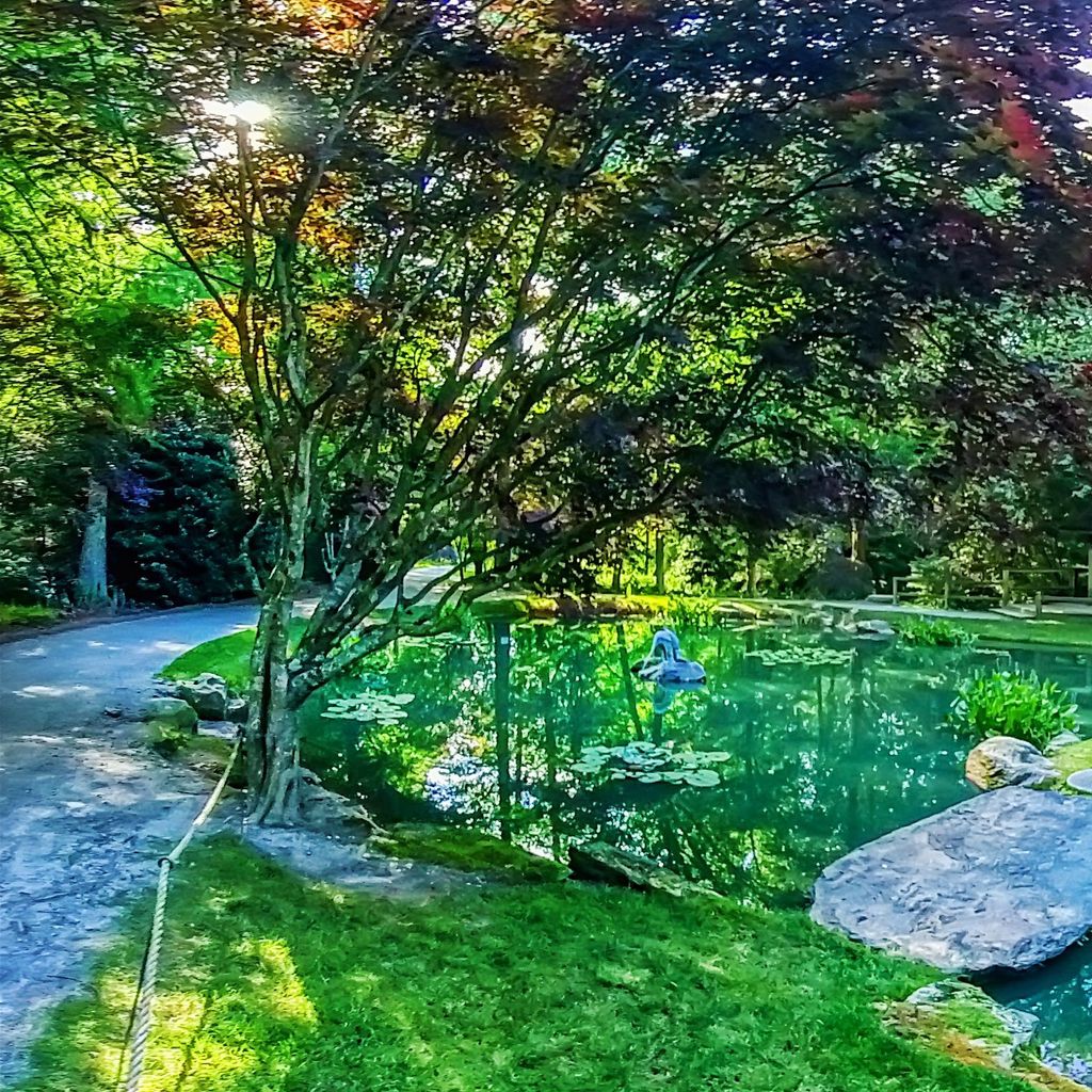 Monet Pond - Chair 3