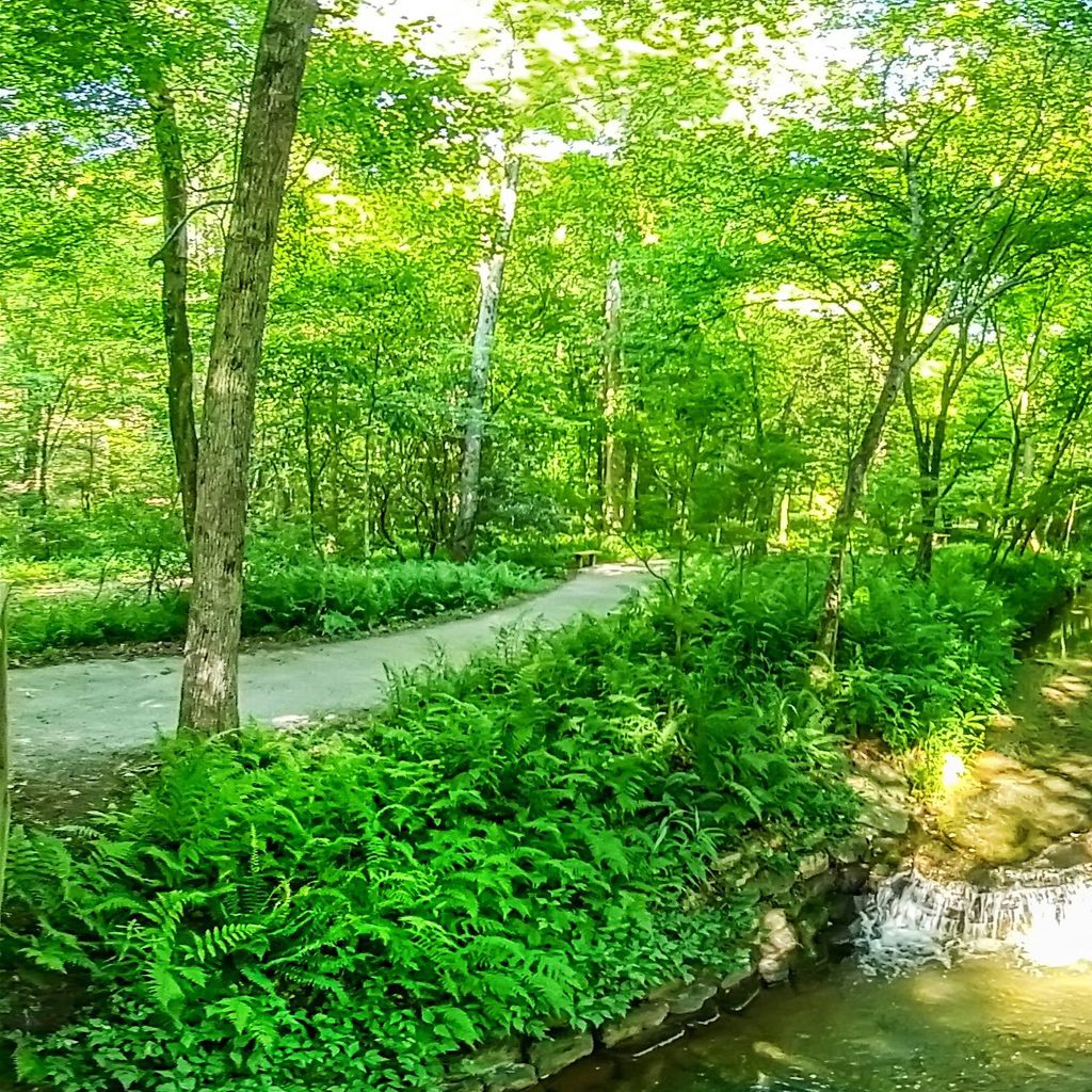 Stream 1