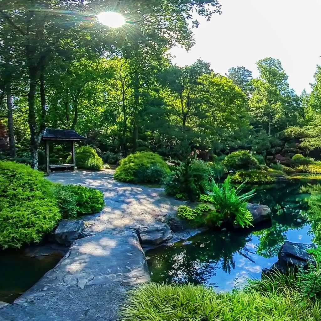 Japanese Garden - Middle 2