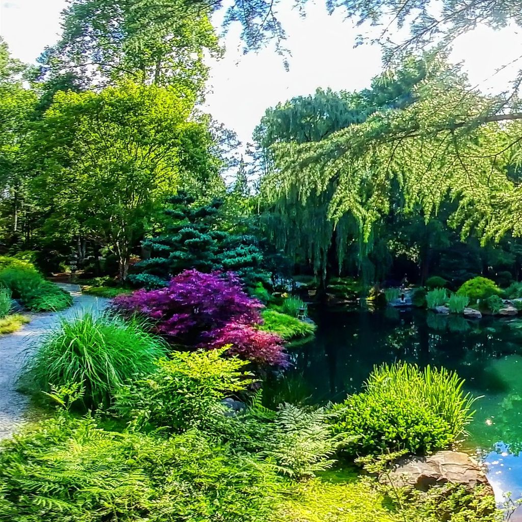 Japanese Garden - Island 3