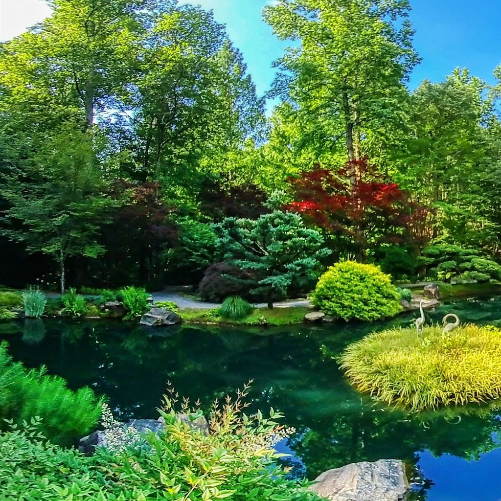 Japanese Garden - Island 5