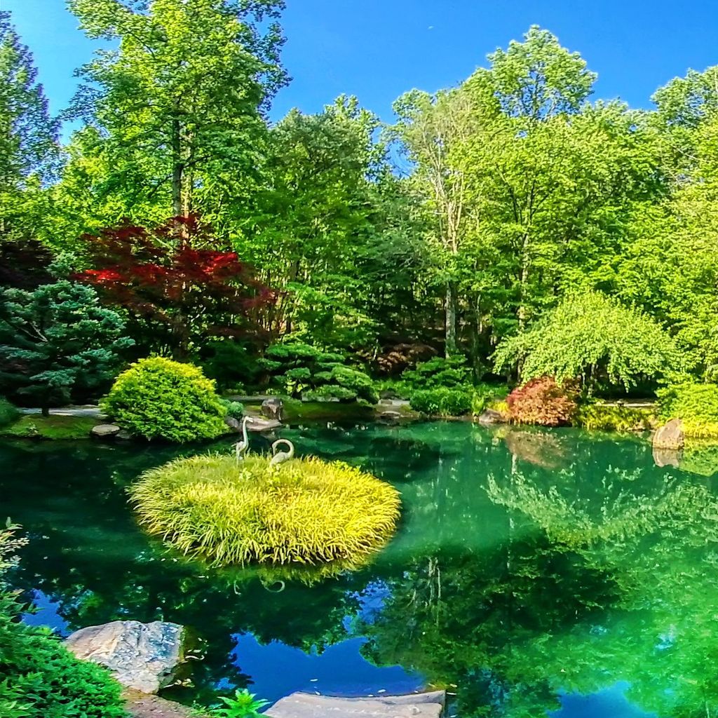 Japanese Garden - Island 6