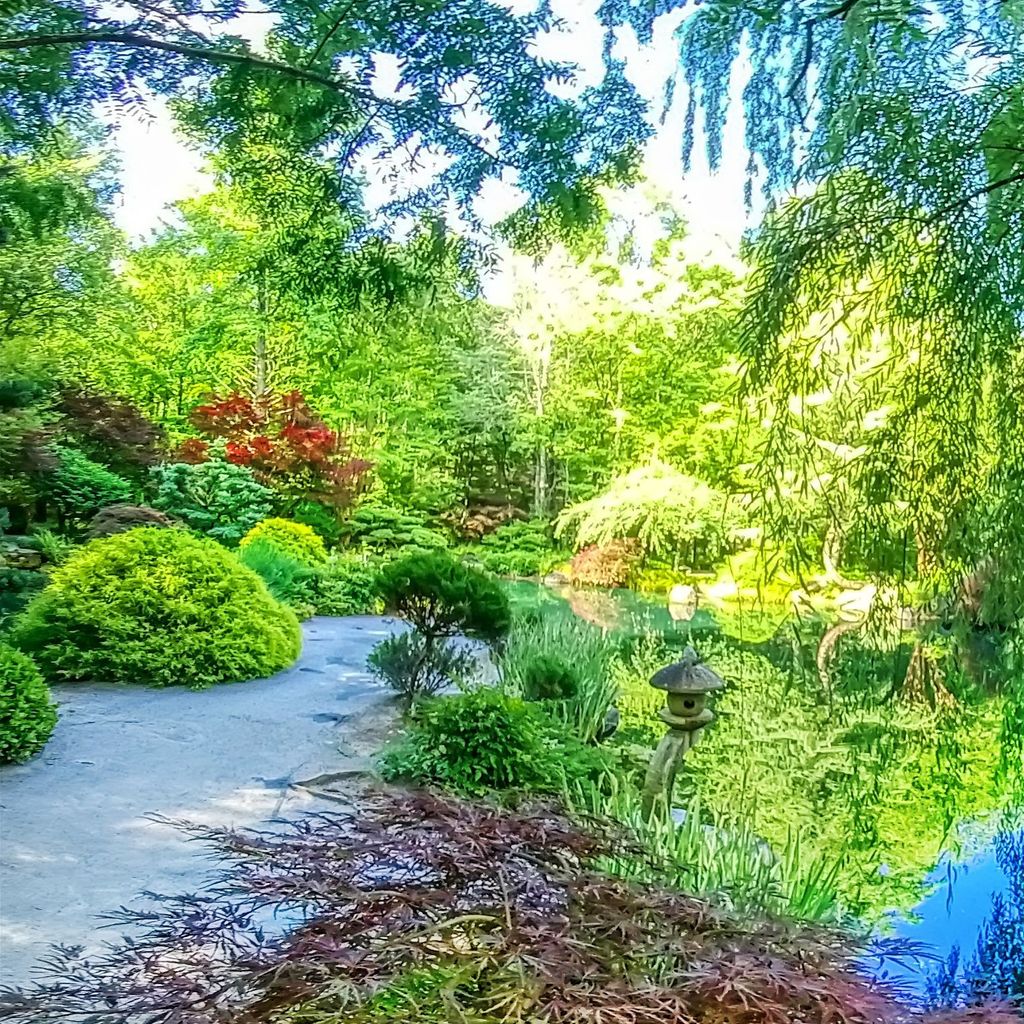 Japanese Garden - Island 7