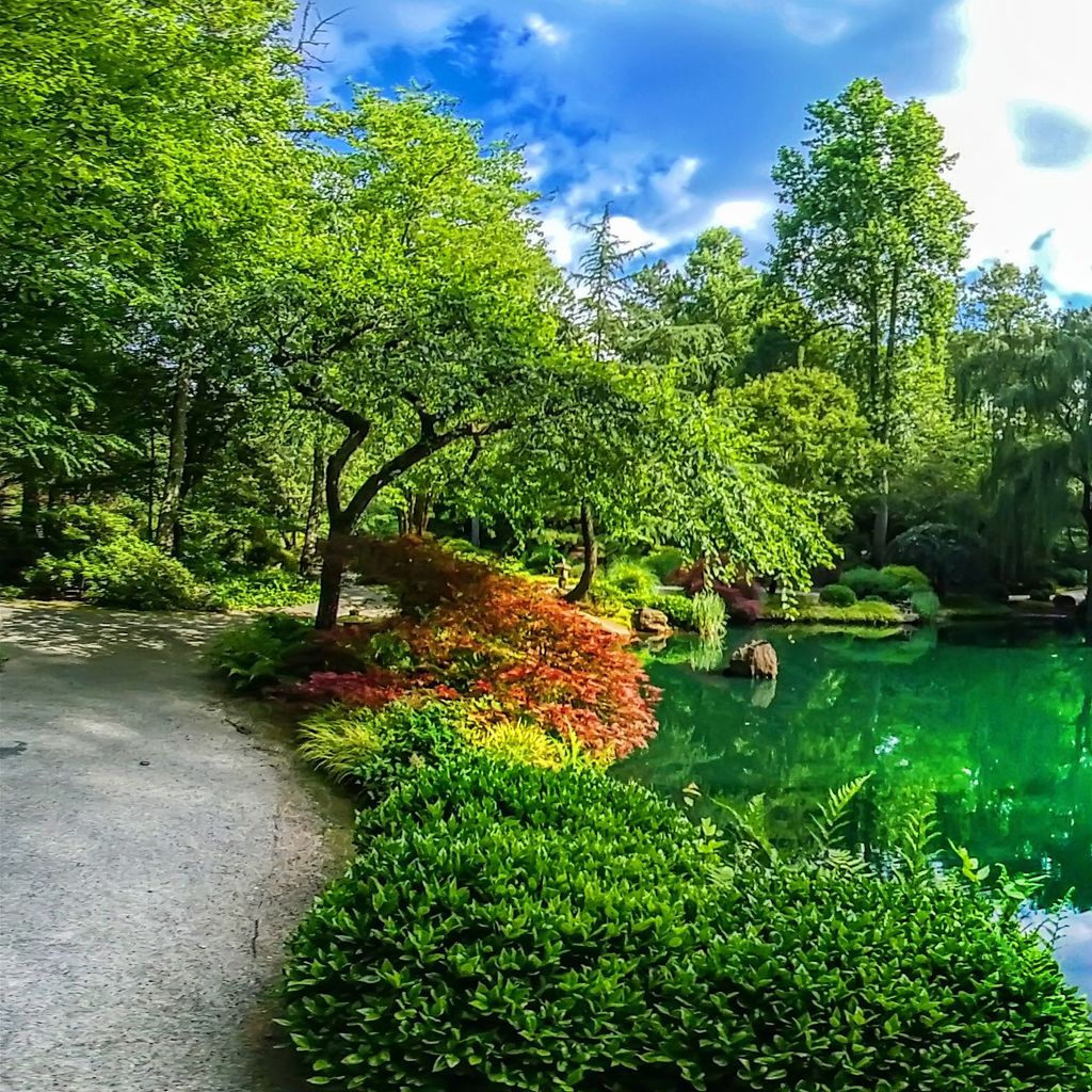 Japanese Garden - Island 8