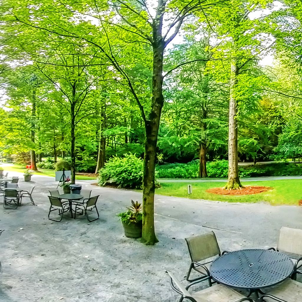 360 Cafe Chairs